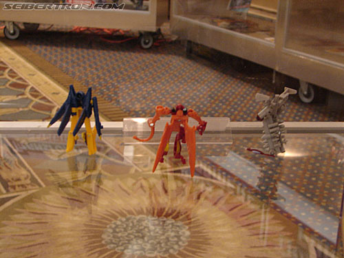 BotCon 2006: Hasbro's Toy Display Cases - Transformers Event: