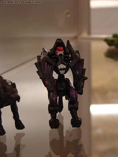 BotCon 2006: Hasbro's Toy Display Cases - Transformers Event: