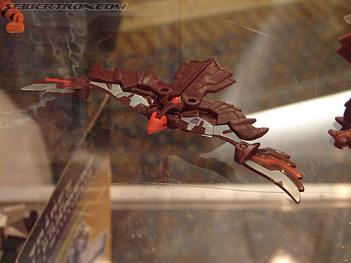 BotCon 2006: Hasbro's Toy Display Cases - Transformers Event: