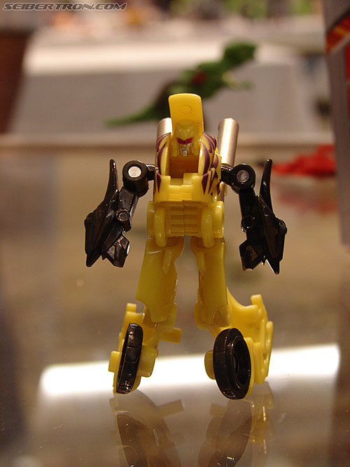 BotCon 2006: Hasbro's Toy Display Cases - Transformers Event: