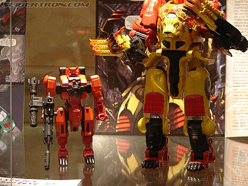 BotCon 2006 - Hasbro's Toy Display Cases