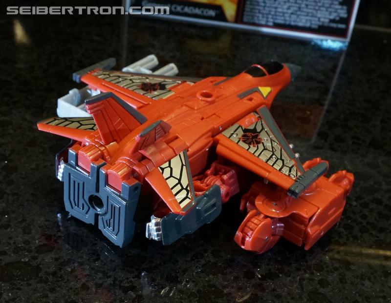 Botcon 2016: Dawn of the Predacus Box Set plus Attendee figure - Transformers Event: Dawn Of Predacus Box Set+attendee Figure 038