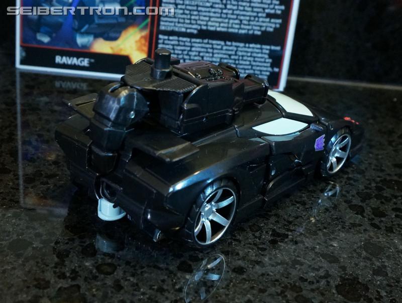 Botcon 2016: Dawn of the Predacus Box Set plus Attendee figure - Transformers Event: Dawn Of Predacus Box Set+attendee Figure 044