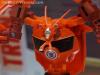 Botcon 2016: Hasbro Display: Robots In Disguise - Transformers Event: Robots In Disguise 051b