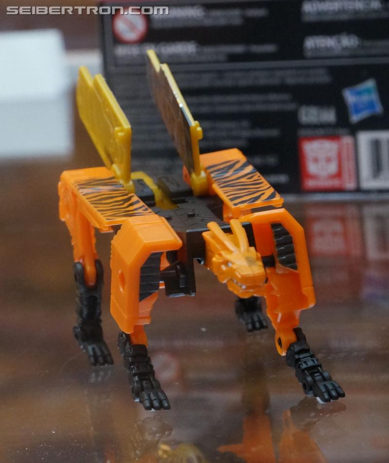 Botcon 2016: Hasbro Display: Titans Return - Transformers Event: Titans Return 083a
