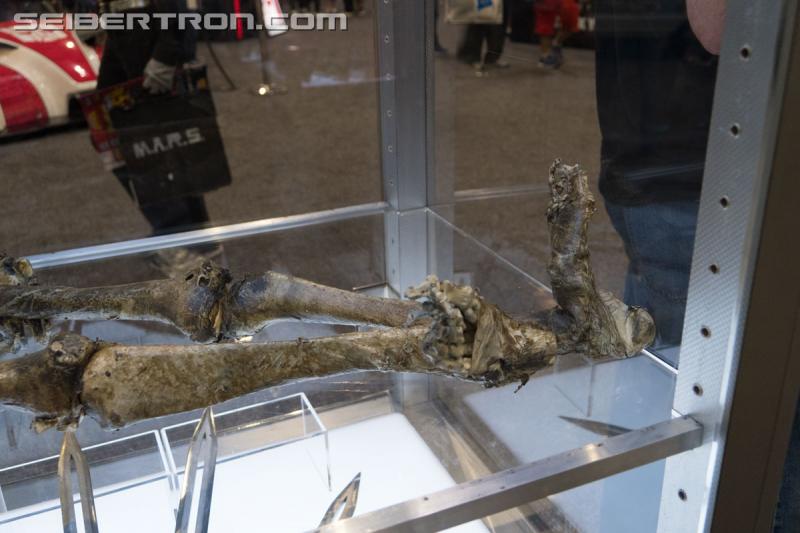 HASCON 2017: Transformers The Last Knight Movie Props - Transformers Event: DSC02563