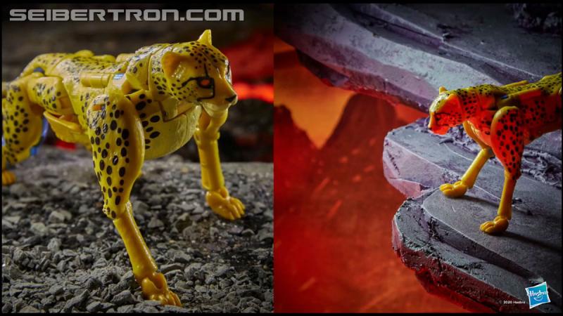 Transformers News: Hasbro PulseCon 2020 highlight gallery