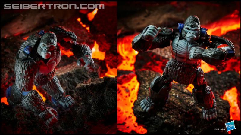 Transformers News: Hasbro PulseCon 2020 highlight gallery