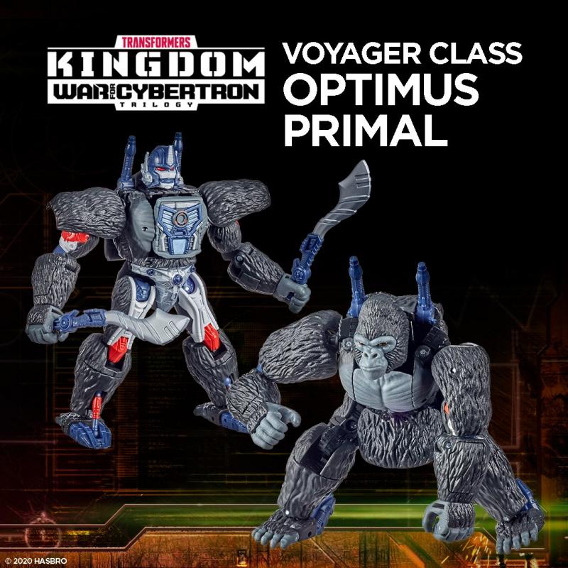 Hasbro PulseCon 2020: Official Transformers product images revealed at PulseCon 2020 - Transformers Event: Wfc Kingdom Voyager Class Optimus Primal 1