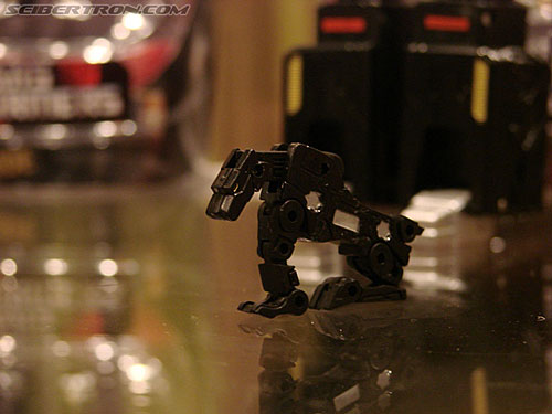 BotCon 2007: Hasbro's Display Area - Transformers Event: DSC06887