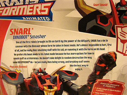 BotCon 2008 - Transformers Animated