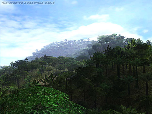 misc008.jpg