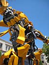 IMG_1095.jpg