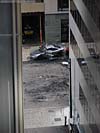 DSC05903.jpg
