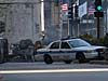 DSC07425a.jpg