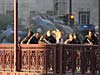DSC07530.jpg
