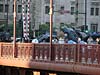 DSC07575.jpg