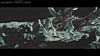 tf3-announcement-134.jpg