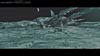 tf3-announcement-215.jpg