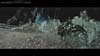 tf3-full-trailer-093.jpg