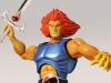 ThunderCats1a.jpg