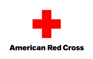 Transformers News: American Red Cross accepting donations for Japan Earthquake and Pacific Tsunami Image