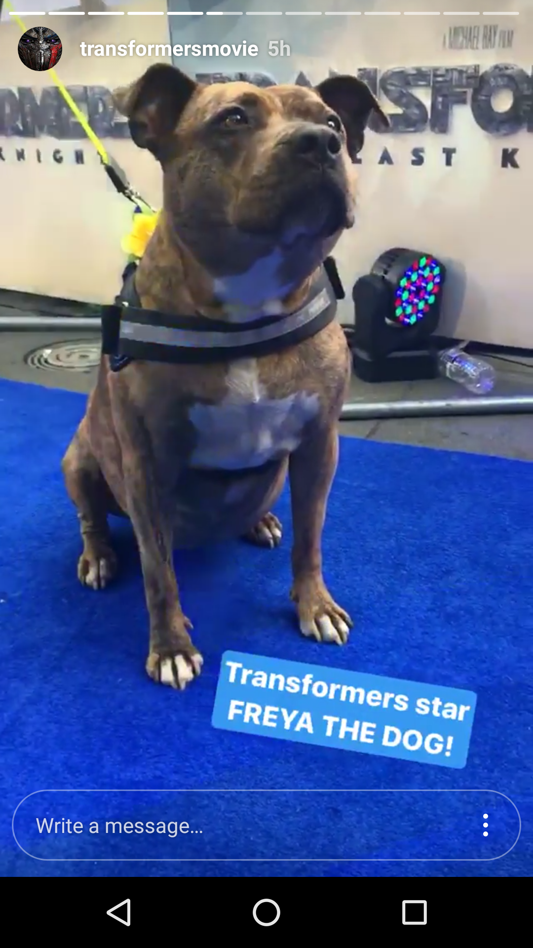 Transformers News: Phots from Transformers: The Last Knight London Premiere