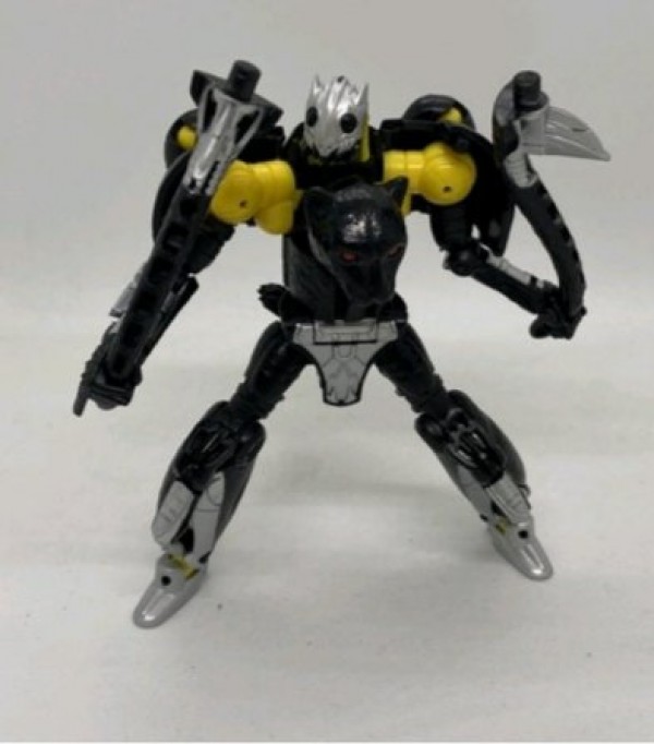 First Image of Transformers Kingdom Shadow Panther