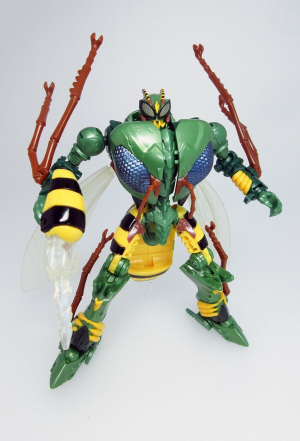 Detailed Pictures of Exclusive Beast Wars 20th Anniversary Transformers Figures from Takara