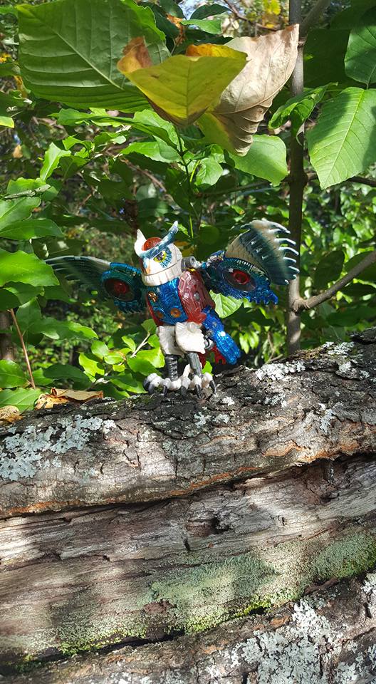 Seibertron.com Transformers Photo Challenge #18: Bot of the Wild