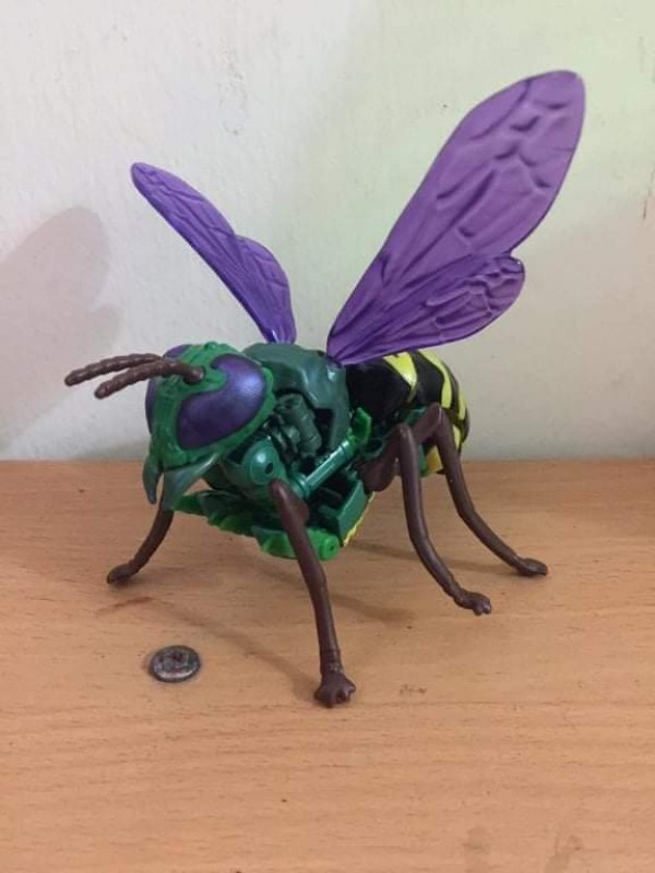 Possible Look At Transformers Kingdom Deluxe Class Waspinator
