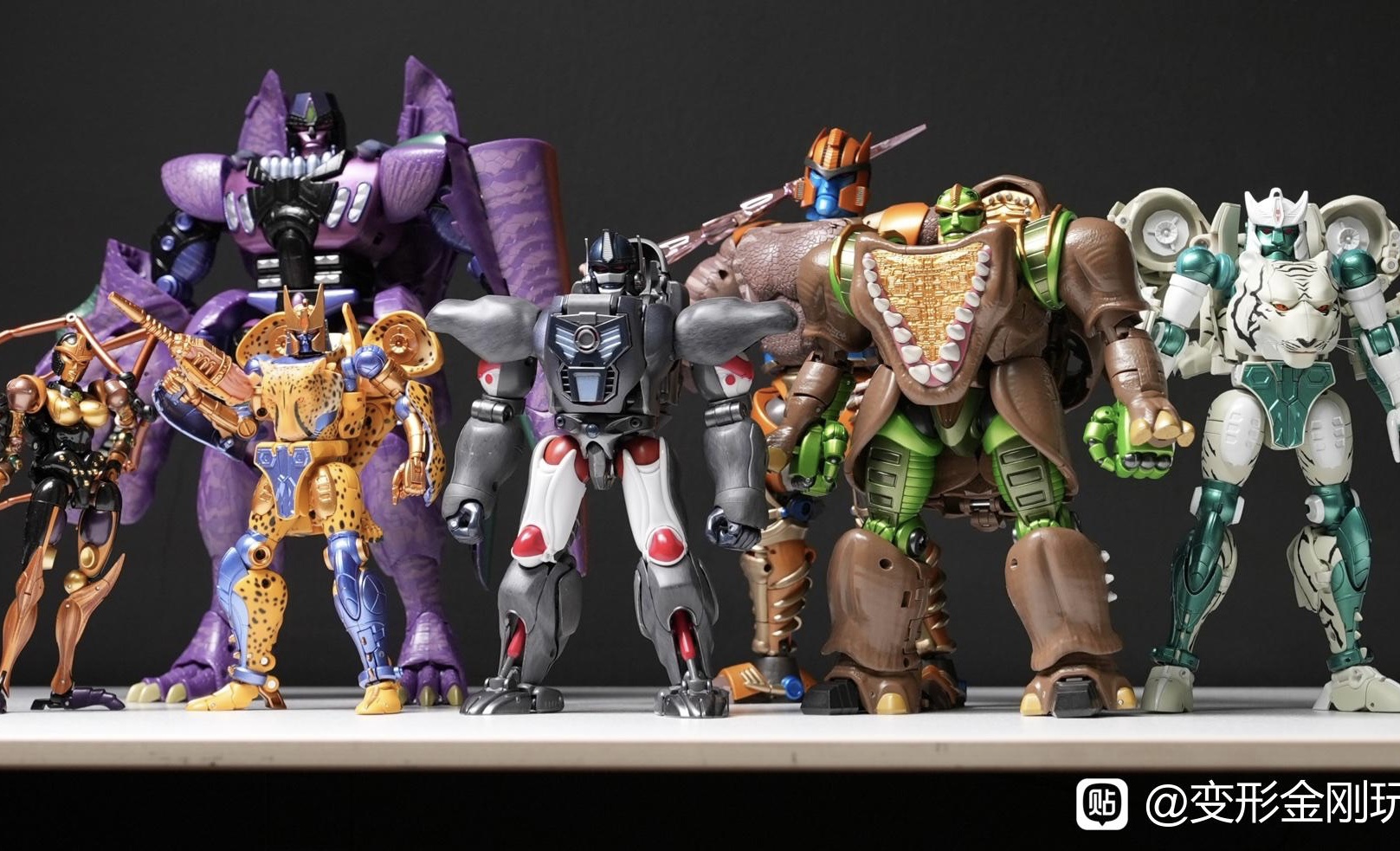 In Hand Images of Transformers MP Rhinox and Transformation Video