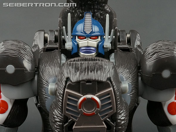 Top 5 Best Optimus Primal Transformers Toys