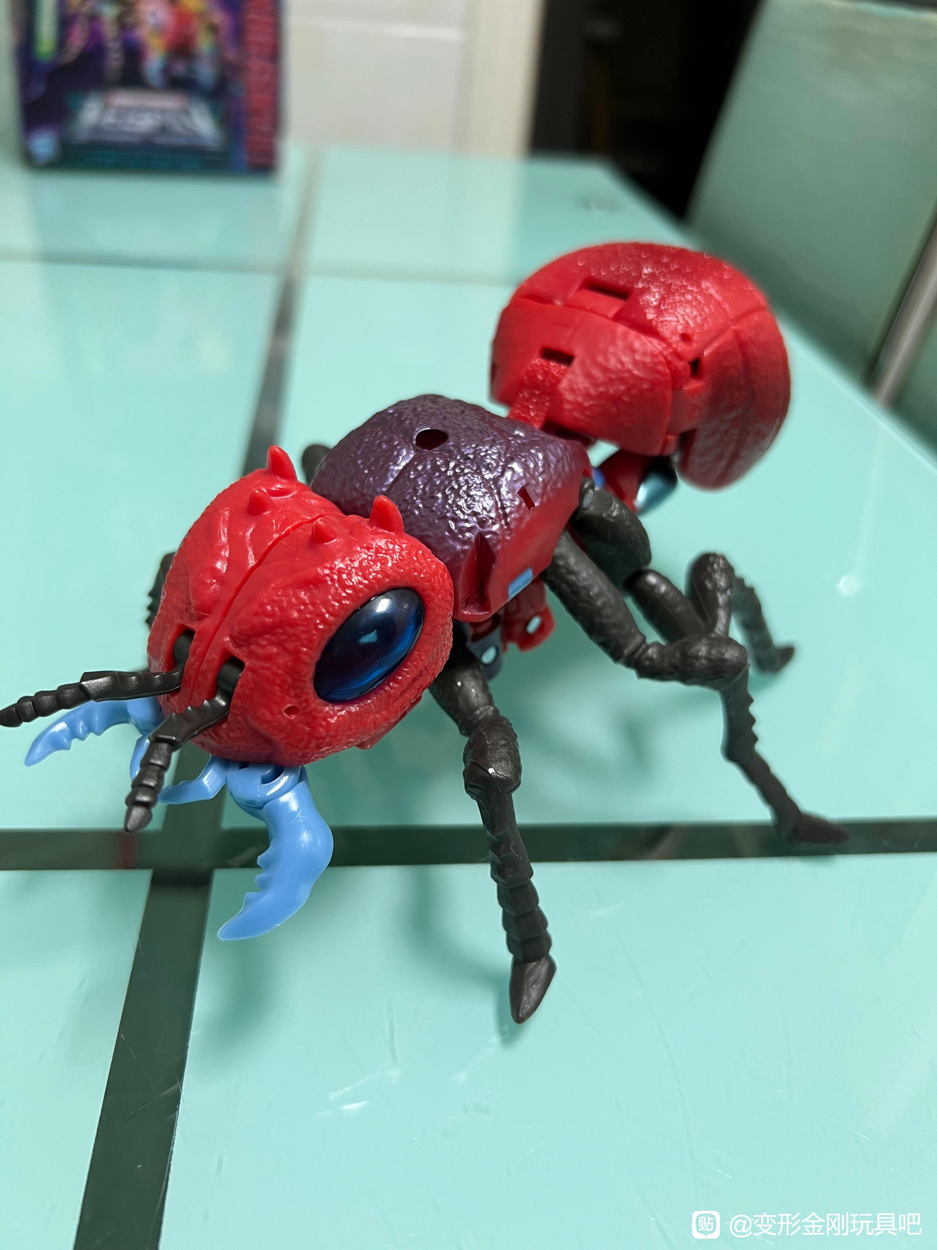 Legacy Beast Wars Inferno Found in China + In Hand Images