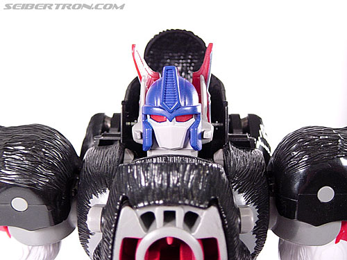 Listings for Titans Return Optimus Primal and Toraizer Titan Masters found