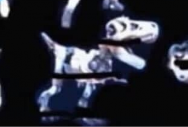 First Look at Transformers Kingdom Fossilizer Figure and New Hot Rod Figure