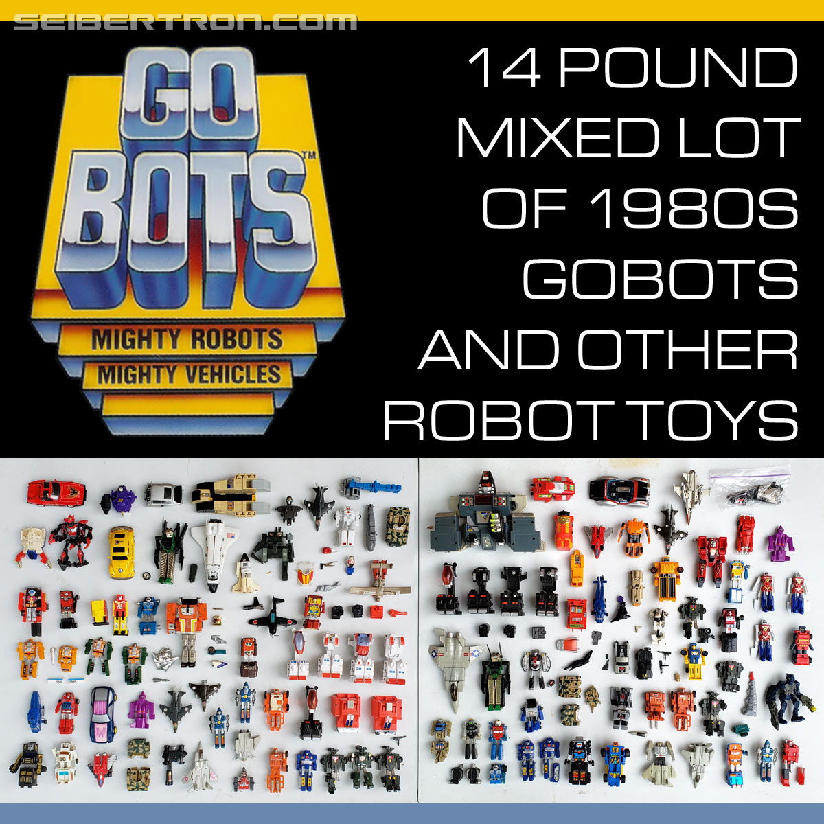 Seibertron.com Store 3rd Annual Online Garage Sale: SWTF, GoBots, Voltron, Sectaurs, MOTU, Thundercats, and TMNT 200X