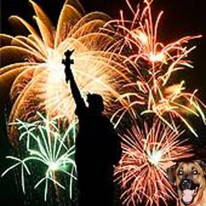 Happy 4th of July Seibertronians!!!