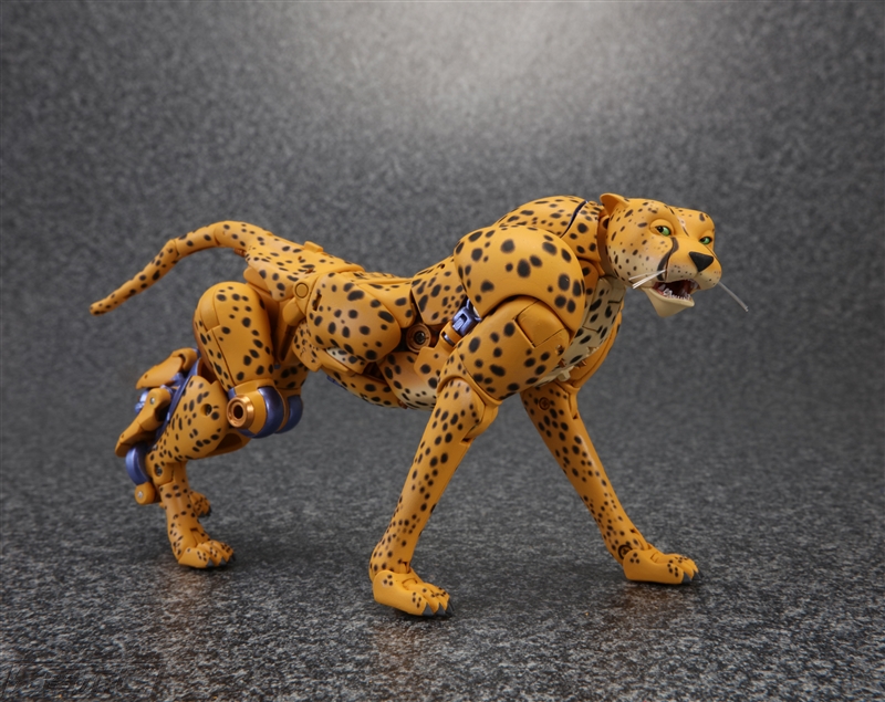 MP 34 Masterpiece Beast Wars Cheetor Delayed and New Images