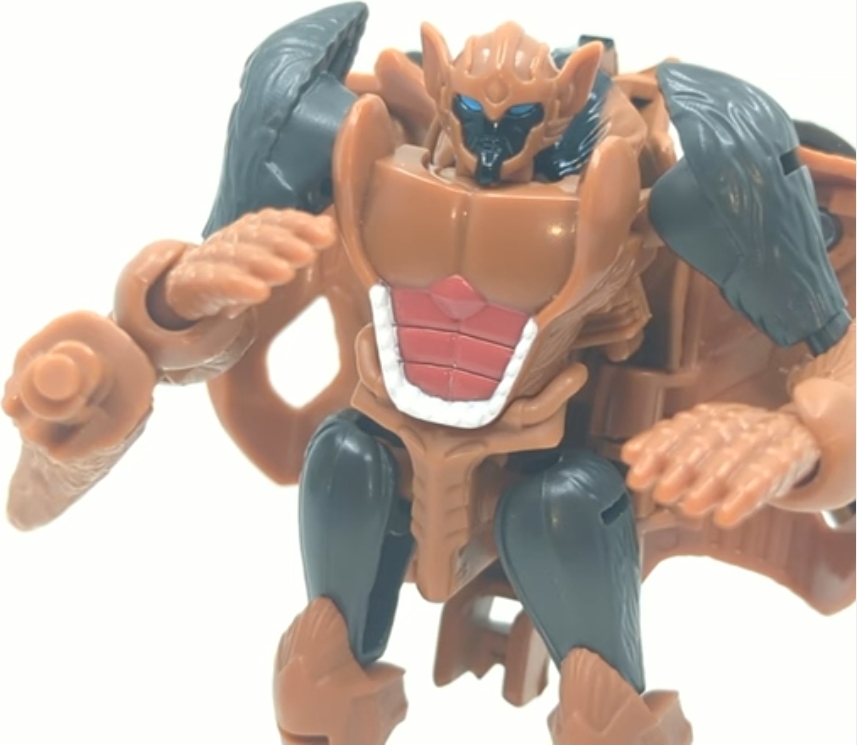 Video Review for  Transformers Legacy United Tasmania Kid