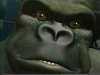 Hasbro Action Updates With Beast Wars Webisode 30