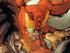 Let the Beast Wars Begin; On Your Desktop!