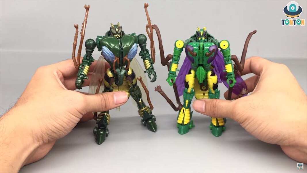 War for Cybertron Kingdom Deluxe class Waspinator video review
