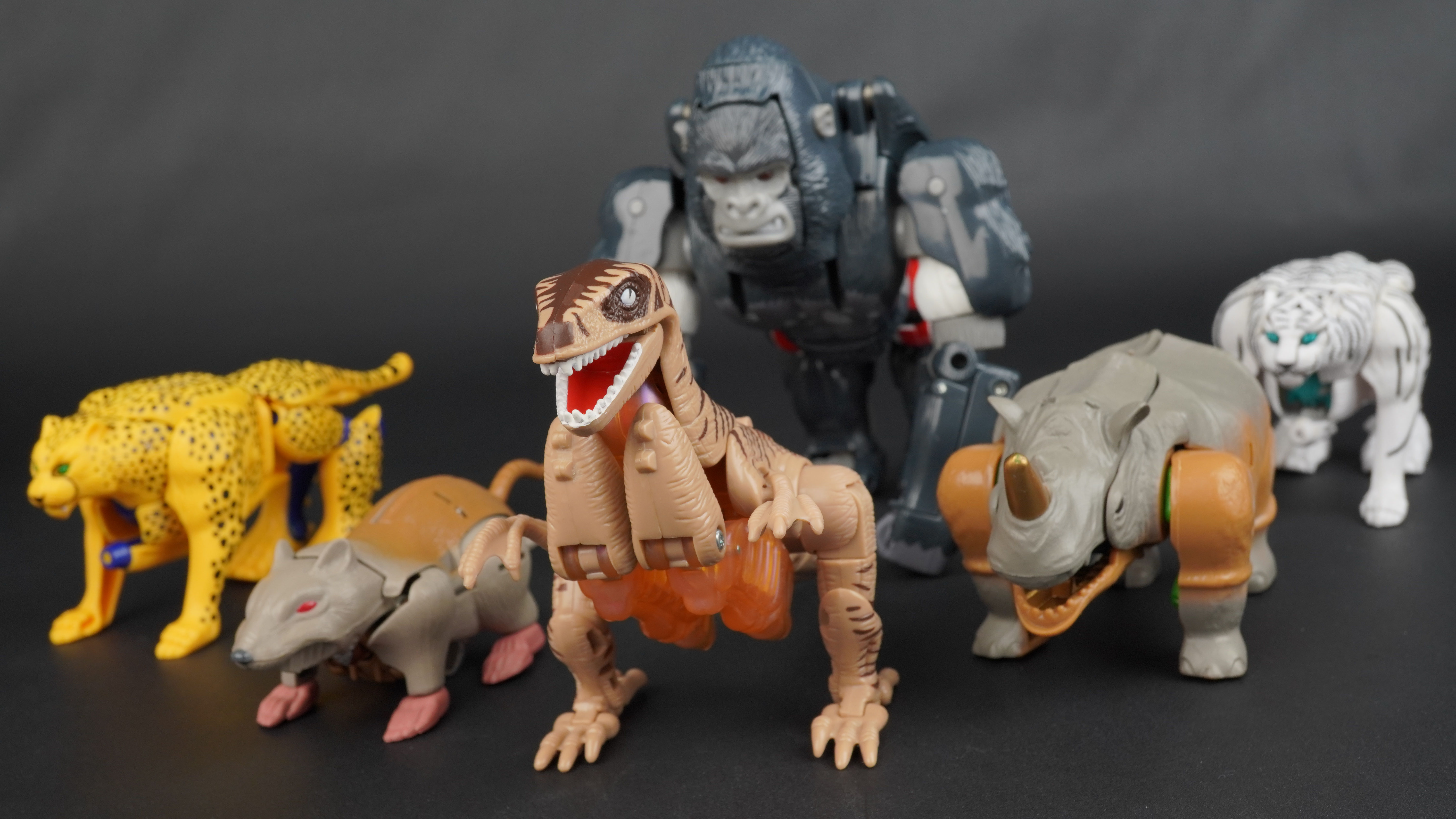 New Gallery: Takara Beast Wars C-4 Dinobot (1998 version)