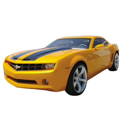 Transformers News: New Transformers Movie Wall Graffix!
