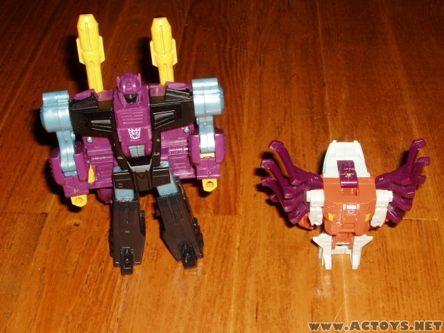 Transformers News: First Look at Transformers Club Exclusive Seacons?