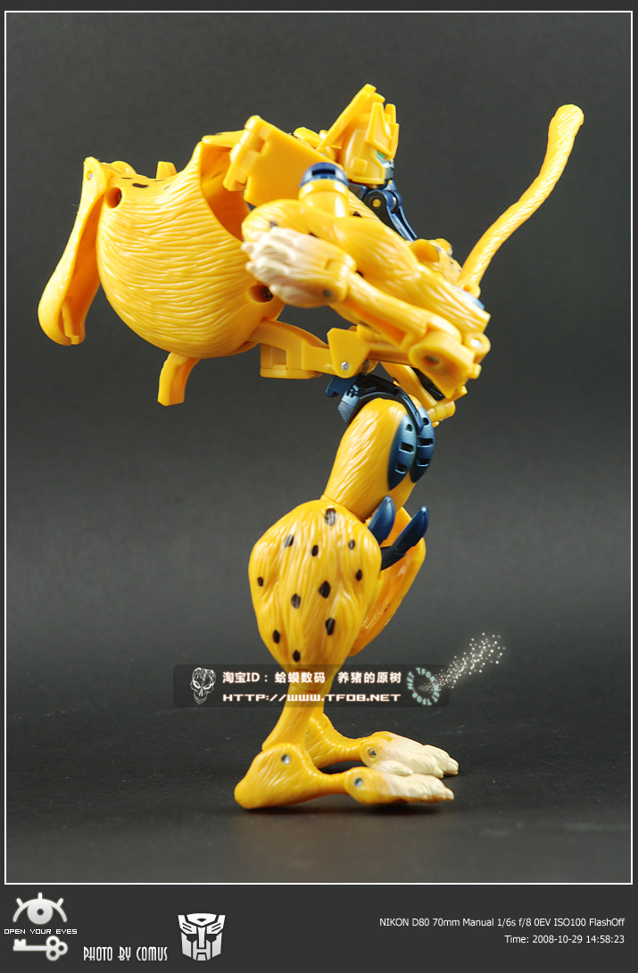 Transformers News: New Hi-res images of 25th Cheetor {L_IMAGE}
