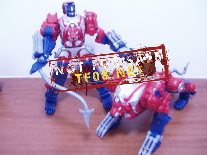 Transformers News: New Image of Universe Leo Prime {L_IMAGE}