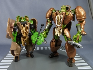 Transformers News: Alfes2010 Pictorials Of TG-30 Waspinator, TG-31 Rhinox Transformers News: Alfes2010 Pictorials Of TG-30 Waspinator, TG-31 Rhinox