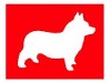 Corgi International Ltd To Develop Transformers Collectibles in 2007